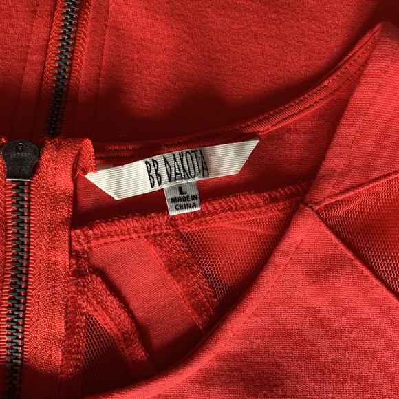 BB Dakota Cap Sleeve Mesh Exposed Zip Dress - Picture 3 of 4